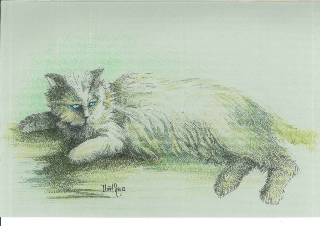 Título: “Gato verde 1 ”
Técnica: Mixta (tinta china/lápices de colores)
Medidas: 20 x 30 cm 
Autora: Itzeel Reyes
