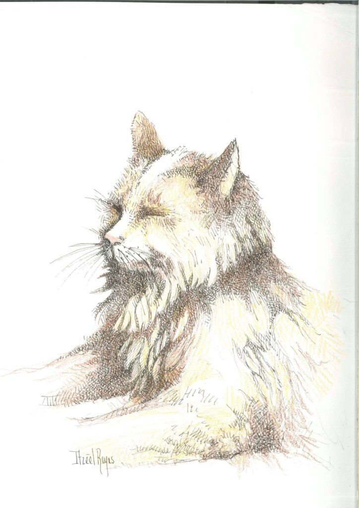 Título: “Gato 1 ”
Técnica: Tinta china
Medidas: 30 x 25 cm 
Autora: Itzeel Reyes